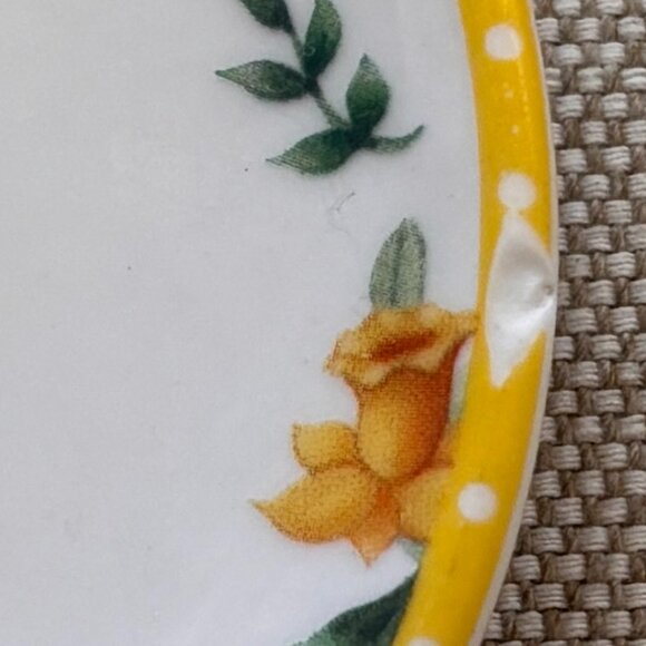 Villeroy & Boch Spring Awakening Plates Set of 4 - Picture 7 of 7